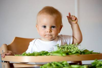 verdura-bebés