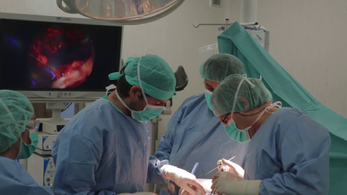 tecnica permite colocar protesis cadera incision minima secuelas paciente