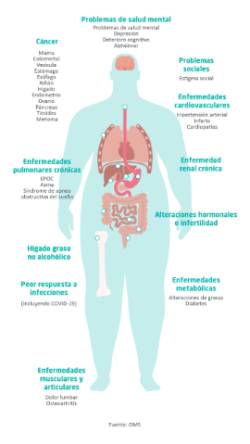 Patologías relacionadas con Obesidad