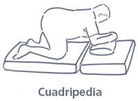 Cuadripedia