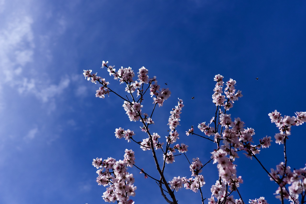 El sol de primavera: prevenció i cura per gaudir-ne