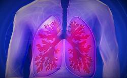 cuales son los sintomas del cancer de pulmon. Este enlace se abrirá en una ventana nueva