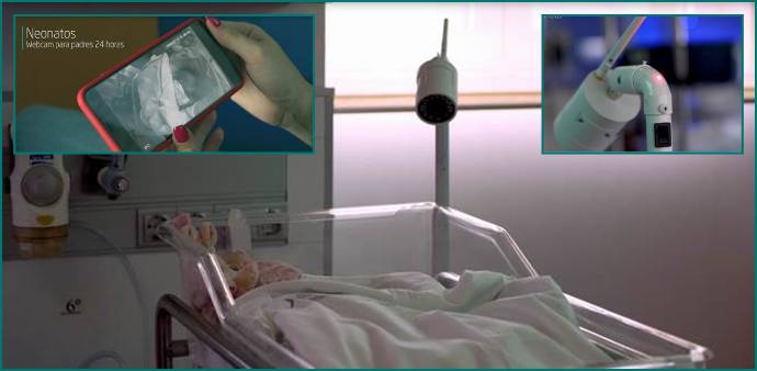 2019 04 11 Las webcams ofrecen imagen del bebé en tiempo real, las 24 horas del día