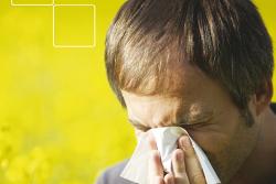 consejos-alergia-polen