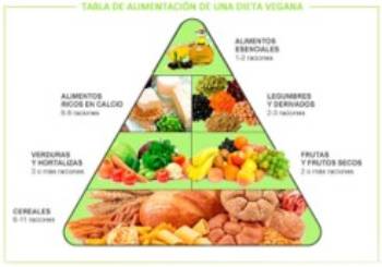 Dieta vegetariana vs dieta vegana