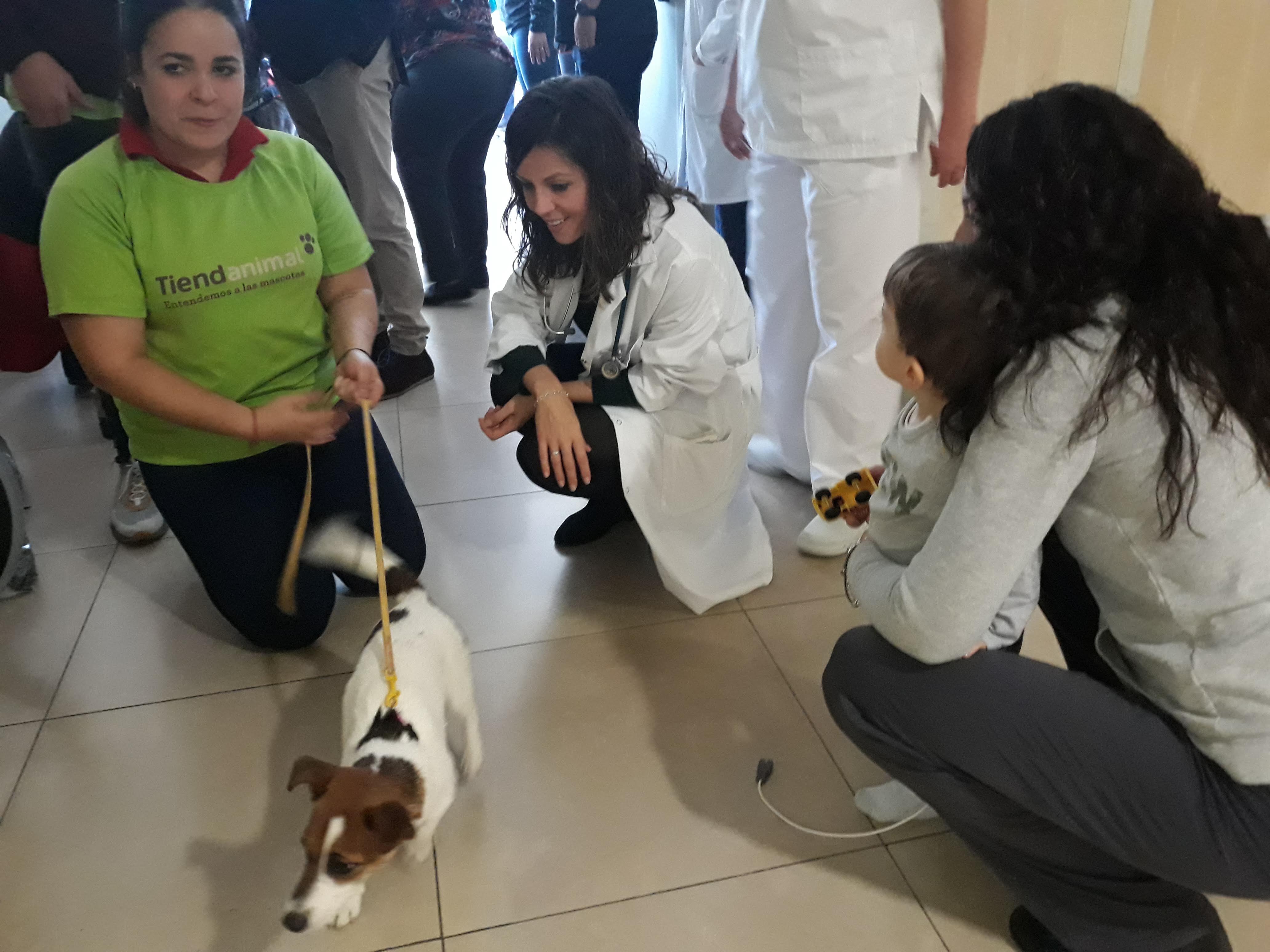 visita_perros_hospital_quironsalud