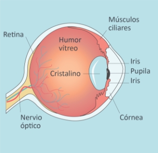 Glaucoma-Tratamiento-01