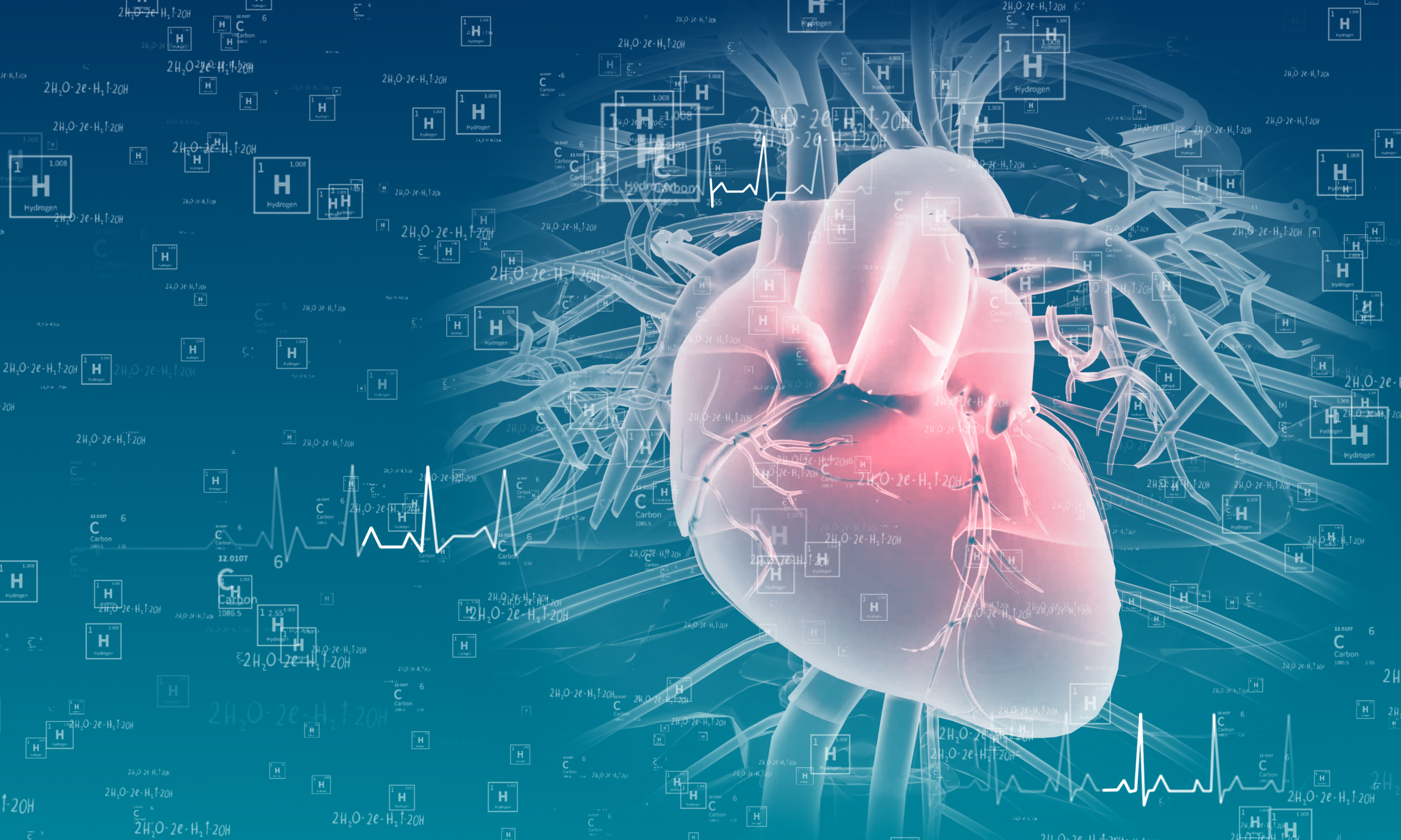 Arterias coronarias y funcionamiento cardiaco | Blogs Quirónsalud