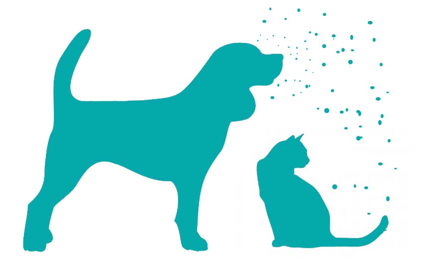 La alergia a las mascotas se de produce el pelo de los animales | Blogs