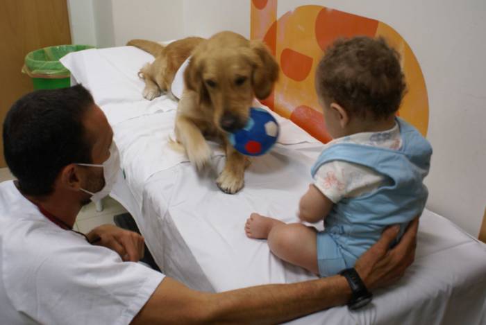 Terapia asistida con animales en quirónsalud Valencia